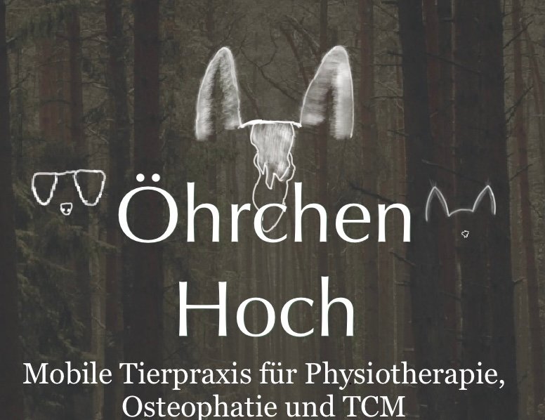 ÖhrchenHoch – Johanna Stürmer